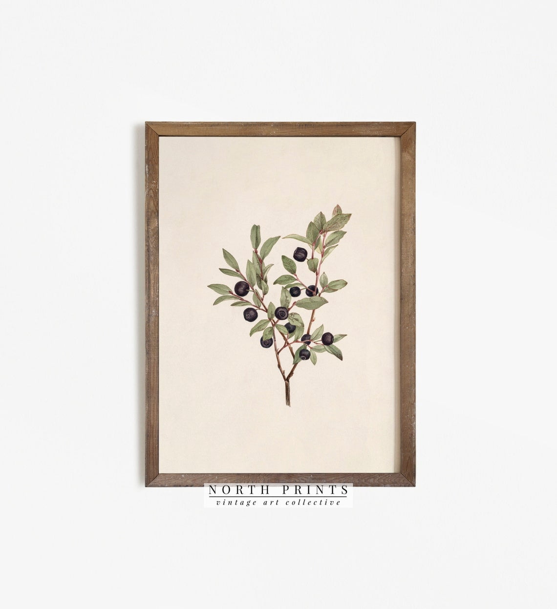 Antique Berry Botanical Farmhouse Poster, Unframed Size 24x36 - Walmart.com