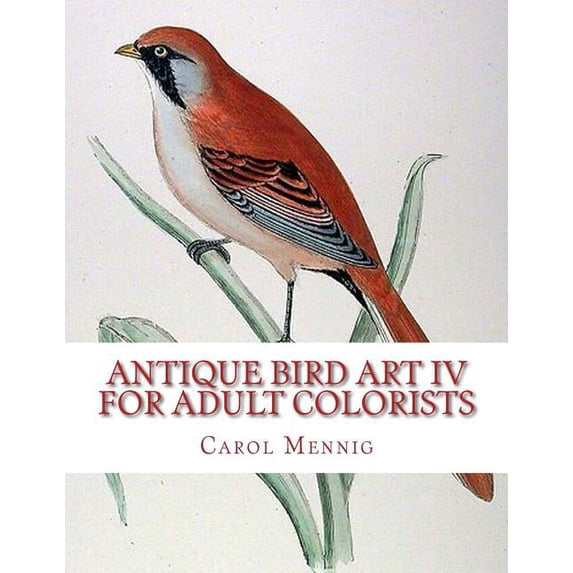 Antique Bird Art IV - For Adult Colorists, (Paperback)