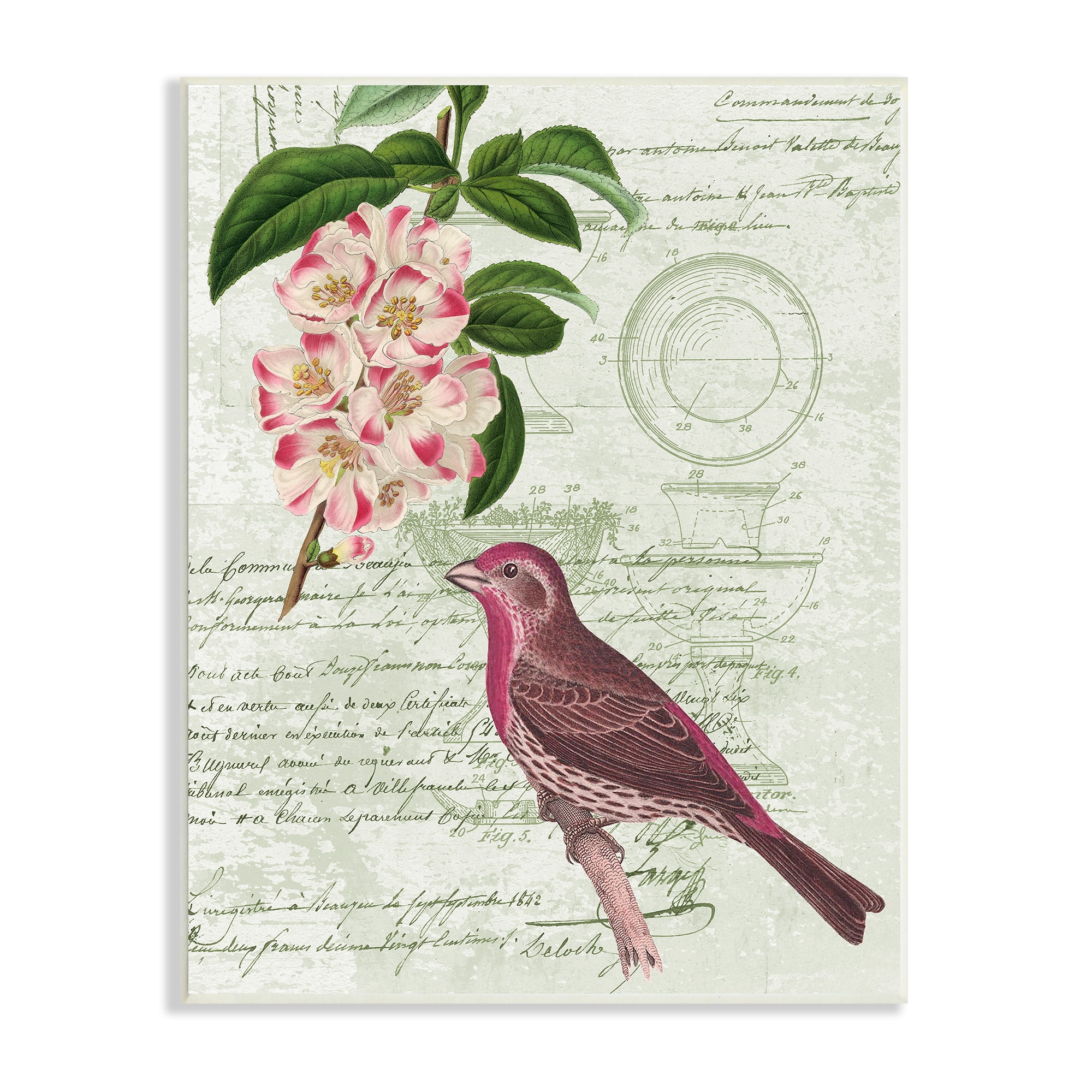 Antique Bird House Patent Vintage Tree Florals Rosy-Finch 10 in x 15 in Framed Painting Art Print, by Stupell Home Décor