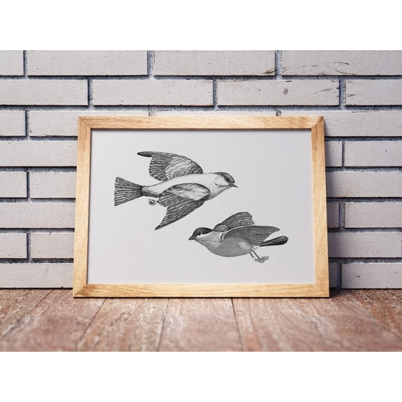 Antique Bird Sketch Art Print, Vintage Neutral Farmhouse Wall Decor, Able, 033 Home Decor #381, Unframed Canvas Size 24x36