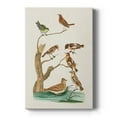 thumbnail image 1 of Antique Birds in Nature III Premium Gallery Wrapped Canvas - Ready to Hang, 1 of 9