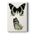 thumbnail image 1 of Antique Blue Butterflies I Premium Gallery Wrapped Canvas - Ready to Hang, 1 of 9