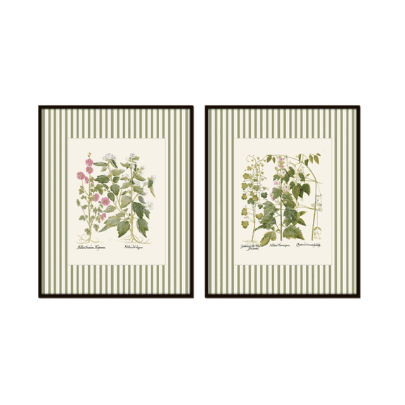 Antique Botanical Green Stripe Vintage Floral Poster Set Set 2 , Poster Only