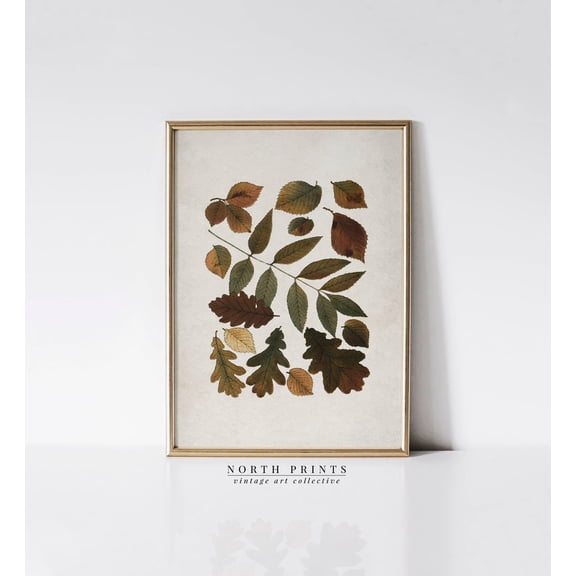 Antique Botanical Leaf Autumn Dining Modern Decorative Design Statement Accent Interior Wall Decor