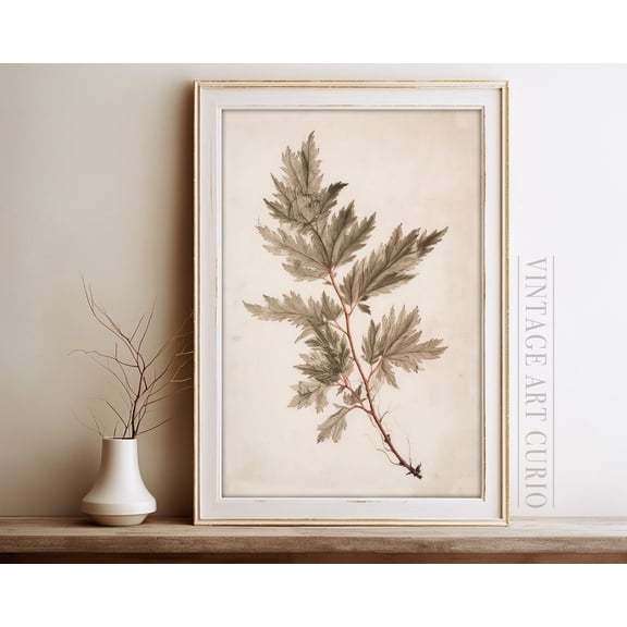 Antique Botanical Leaf Wall Art, Rustic Country Farmhouse Decor, Soft Light Neutral Tones, Vintage Leaf Home Decor #3559, 8x12 UNFRAMED