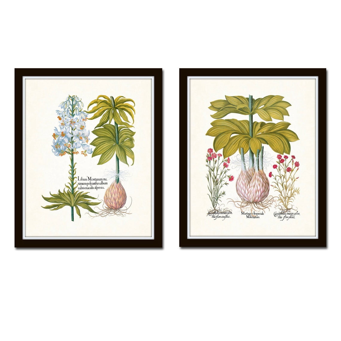 Antique Botanical No 23 Wall Art Prints, Vintage Flower, Botanical ...