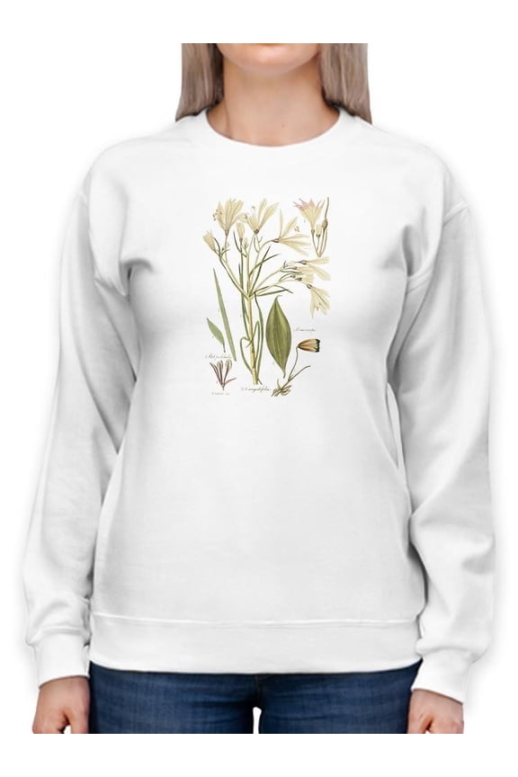Antique Botanical Sketch I. Sweatshirt Women -Vision Studio Designs, Female 5X-Large
