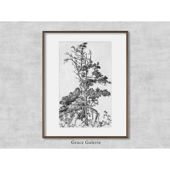 Antique Botanical Sketch Vintage Wall Art , Tree Top, Neutral Farmhouse Kitchen Home Decor #2101, 8x12 UNFRAMED