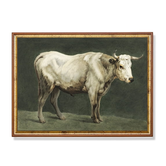 Antique Bull, Vintage Farmhouse Art Poster Home Decor, 16x24 UNFRAMED
