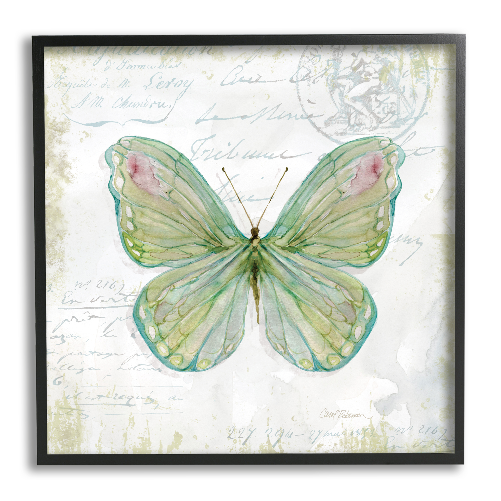 Antique Butterfly Insect Charming Vintage Postal Scripture Animals & Insects Framed Art Print Wall Art, 17x17