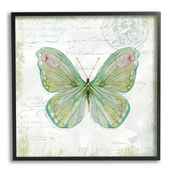 Antique Butterfly Insect Charming Vintage Postal Scripture Animals & Insects Framed Art Print Wall Art, 17x17