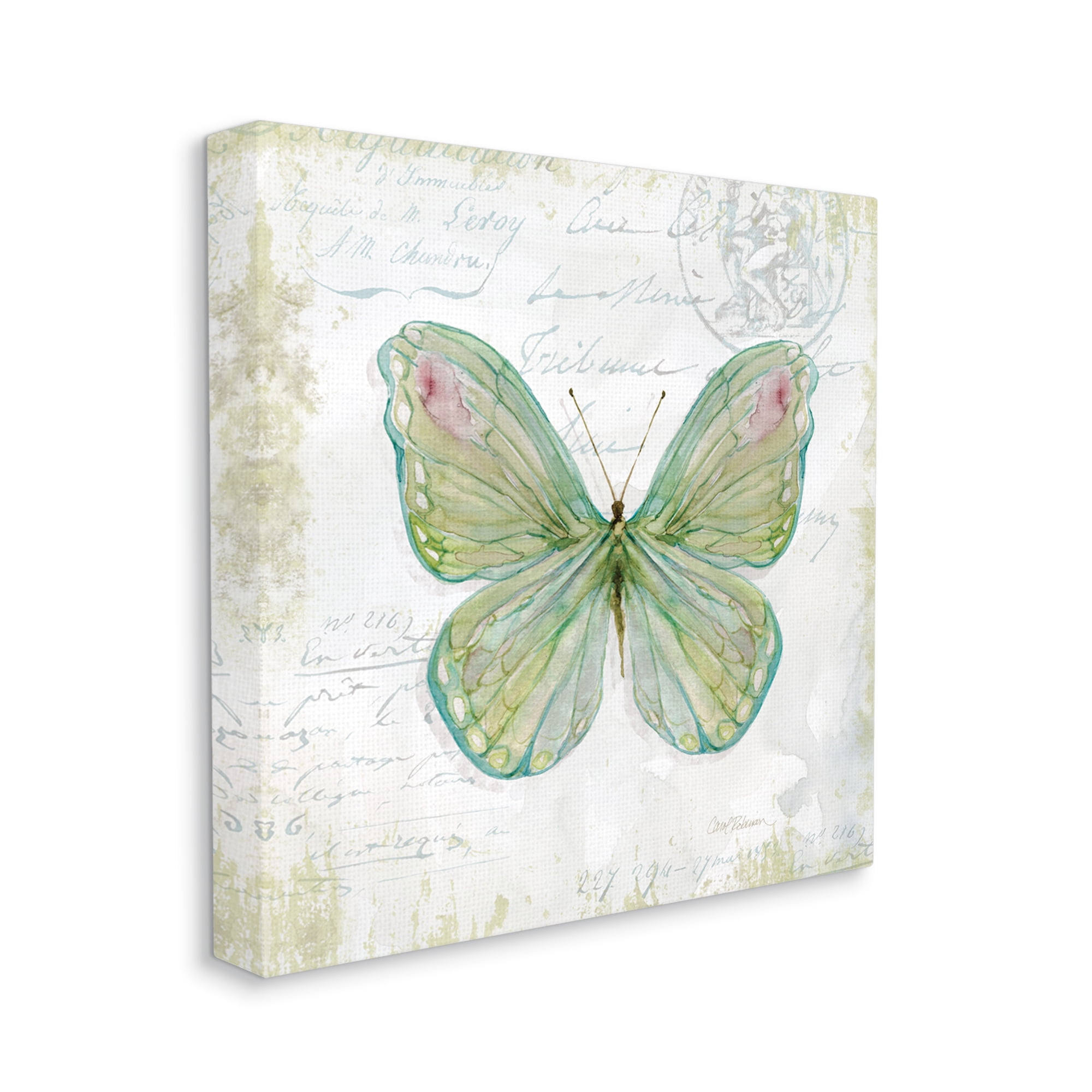 Antique Butterfly Insect Charming Vintage Postal Scripture Animals & Insects Gallery-Wrapped Canvas Print Wall Art, 17x17
