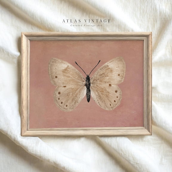 Antique Butterfly Wall Art Print Vintage Moth Illustration Soft Neutral Farmhouse Decor Aesthetic Home Style Size 24x36 Unframed Poster