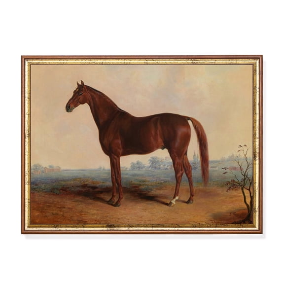 Antique Chestnut Stallion Portrait Vintage Equestrian Art Home Decor, 24x36 UNFRAMED