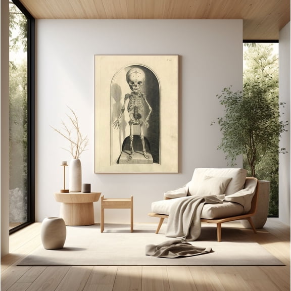Antique Child Skeleton Lithograph Medical Poster Unframed Paper Print