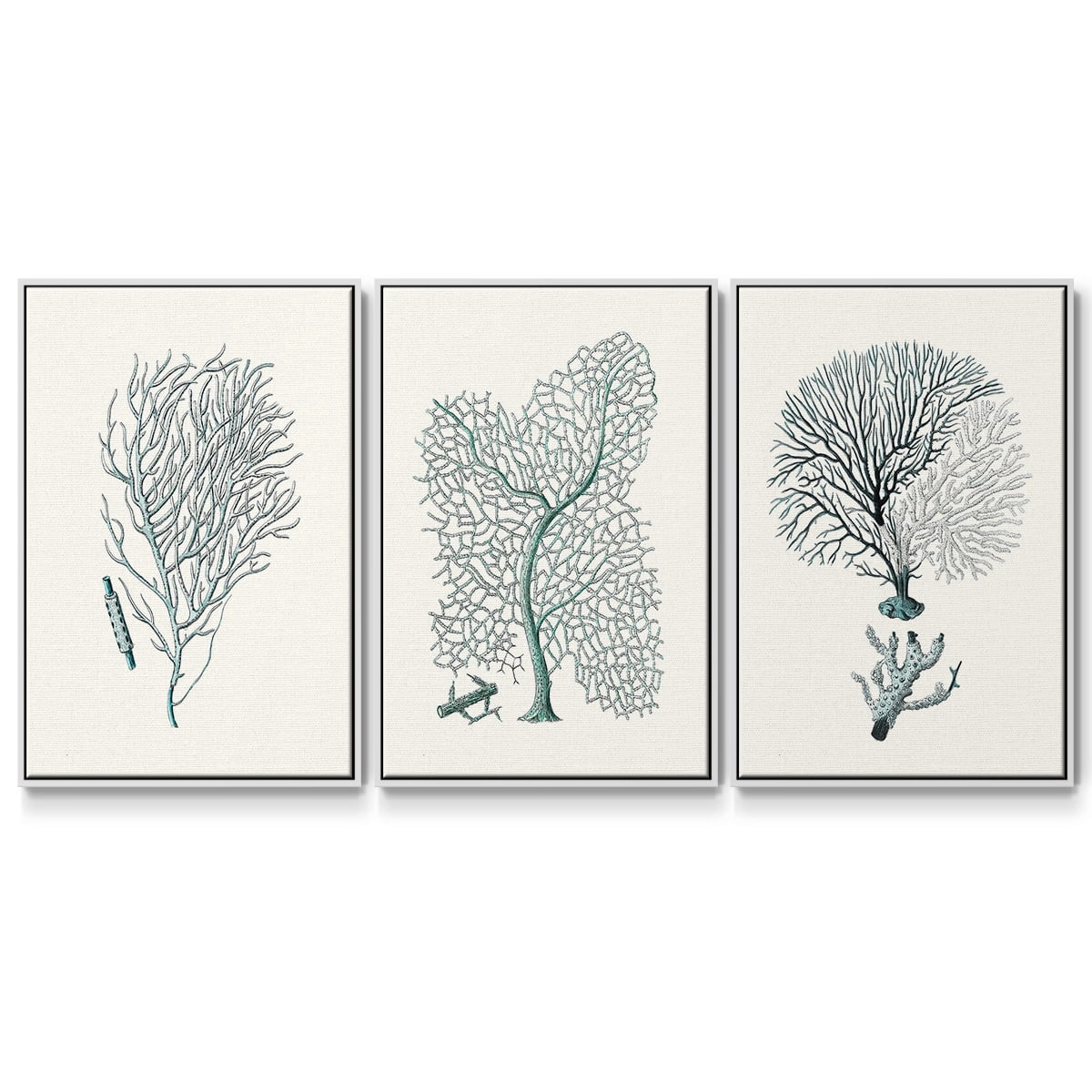 Antique Coastal Coral I - Framed Premium Gallery Wrapped Canvas L Frame 3 Piece Set - Ready to Hang