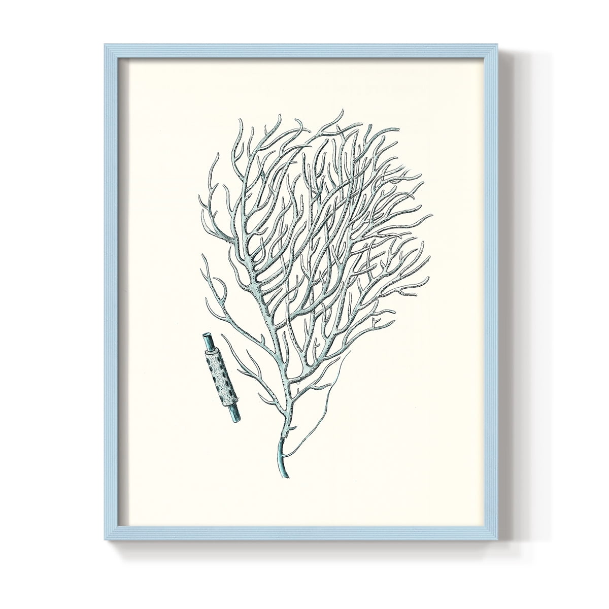 Antique Coastal Coral I Framed Print in Blue Solid Wood Framed Print No Nail Hanging