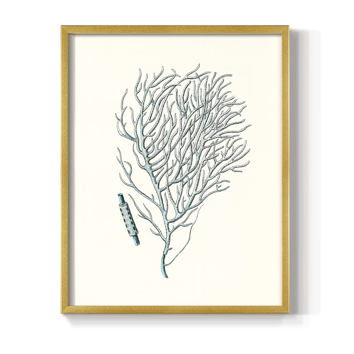 Antique Coastal Coral I Framed Print in Gold Solid Wood Framed Print No Nail Hanging