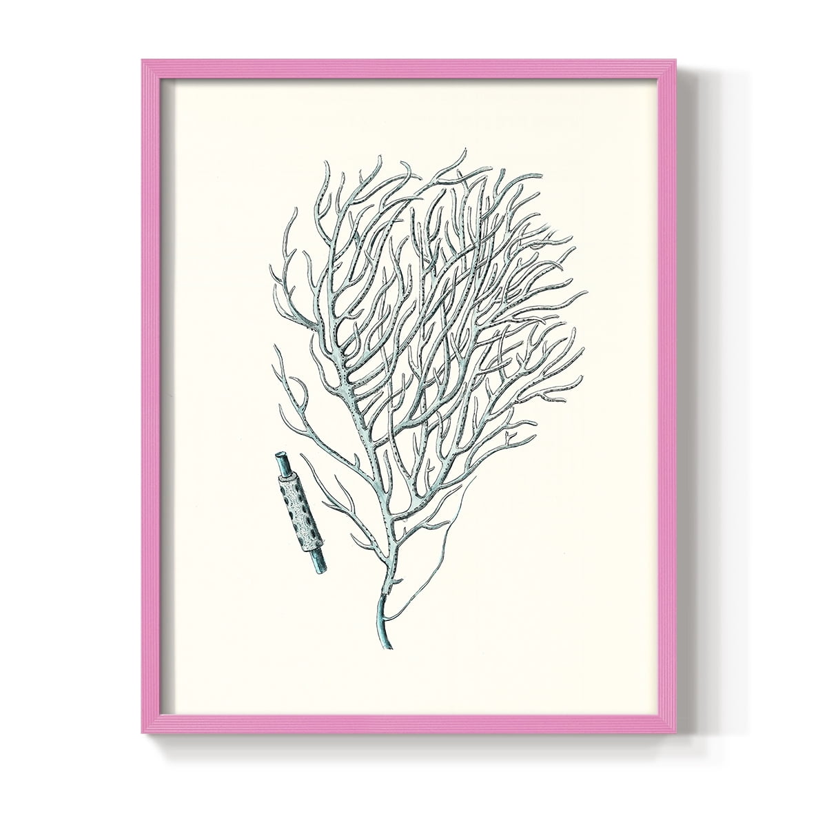 Antique Coastal Coral I Framed Print in Pink Solid Wood Framed Print No Nail Hanging