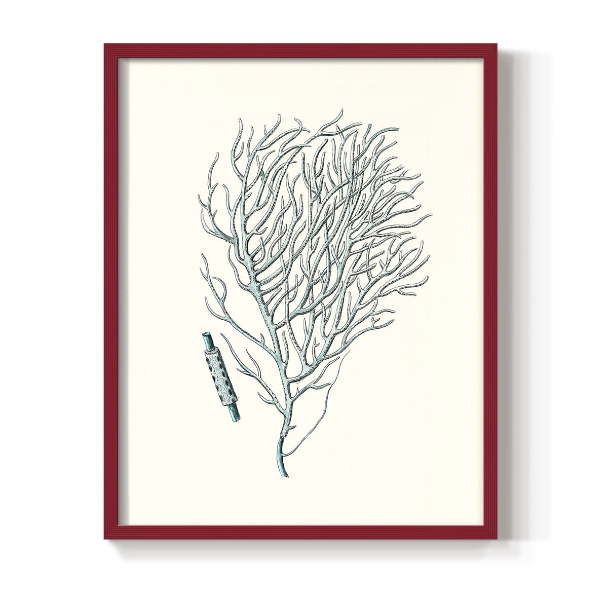 Antique Coastal Coral I Framed Print in Red Solid Wood Framed Print No Nail Hanging