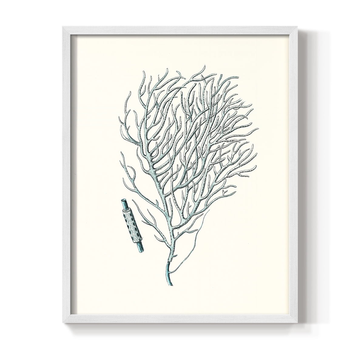 Antique Coastal Coral I Framed Print in White Solid Wood Framed Print No Nail Hanging