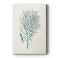 thumbnail image 1 of Antique Coastal Coral I Premium Gallery Wrapped Canvas - Ready to Hang, 1 of 9