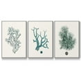 thumbnail image 1 of Antique Coastal Coral IV - Framed Premium Gallery Wrapped Canvas L Frame 3 Piece Set - Ready to Hang, 1 of 1