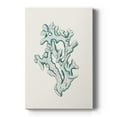 thumbnail image 1 of Antique Coastal Coral IV Premium Gallery Wrapped Canvas - Ready to Hang, 1 of 9