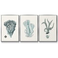 thumbnail image 1 of Antique Coastal Coral X - Framed Premium Gallery Wrapped Canvas L Frame 3 Piece Set - Ready to Hang, 1 of 1