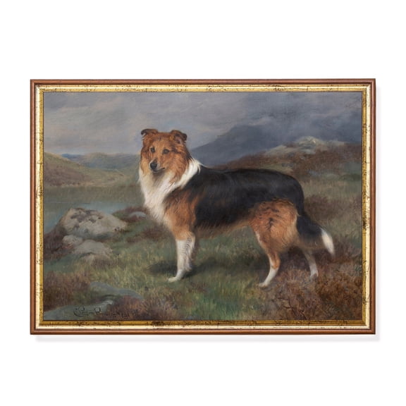 Antique Collie Dog Portrait Vintage Farmhouse Wall Art Unframed Paper Print