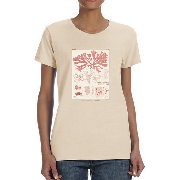Antique Coral Seaweed Iii T-Shirt Women -Vision Studio Designs, Female 3X-Large