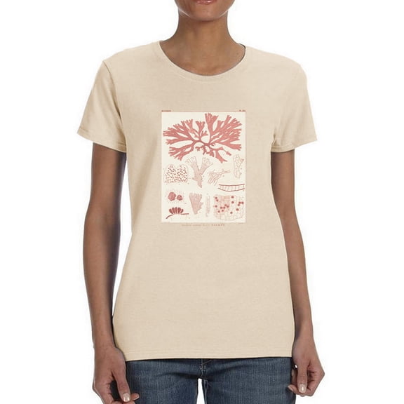 Antique Coral Seaweed Iii T-Shirt Women -Vision Studio Designs, Female Large