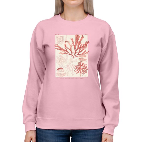 Antique Coral Seaweed Iv Sweatshirt Women -Vision Studio Designs, Female 5X-Large