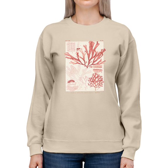 Antique Coral Seaweed Iv Sweatshirt Women -Vision Studio Designs, Female Large