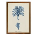 thumbnail image 1 of Wexford Home Antique Coral in Navy IV-Framed Canvas - Maple - 22X30, 1 of 4