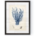 thumbnail image 1 of Antique Coral in Navy V - Barnwood Framed Print - 17 x 20 - Black, 1 of 4