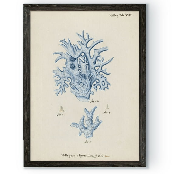 Wexford Home Antique Coral in Navy VI-Framed Canvas - Black - 16X22