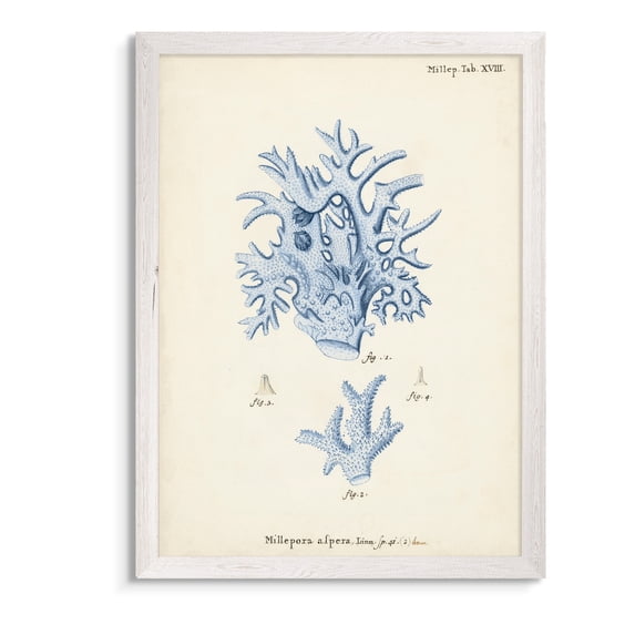 Wexford Home Antique Coral in Navy VI-Framed Canvas - White - 16X22