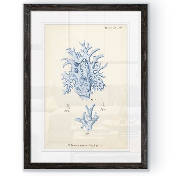 Wexford Home Antique Coral in Navy VI-Framed Print - Black - 22X30