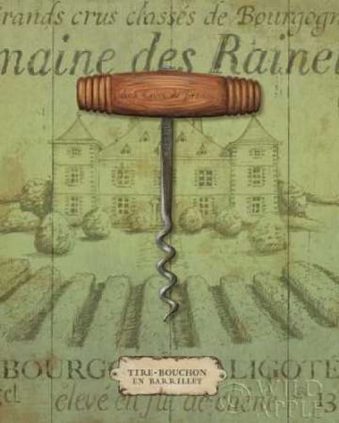 Antique Corkscrew I Green Canvas Art - Daphne Brissonnet (24 x 30)