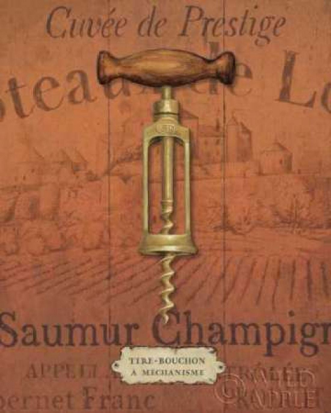 Antique Corkscrew II Red Canvas Art - Daphne Brissonnet (24 x 30)