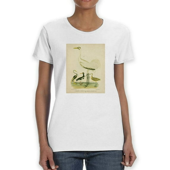 Antique Crane And Heron. T-Shirt Women -Alexander Wilson Designs, Female XX-Large