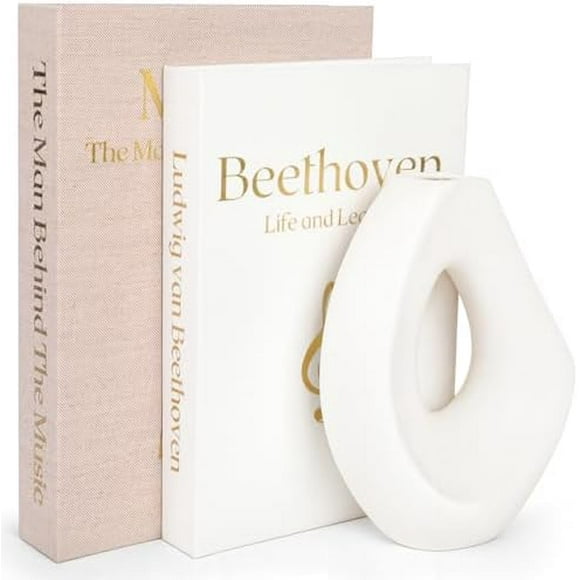 Antique Decorative Linen Books: Fake/Faux Books for Home Decor, Coffee Table & Bookshelf - Elegent & Modern Aesthetic Storage Boxes - Set of 2