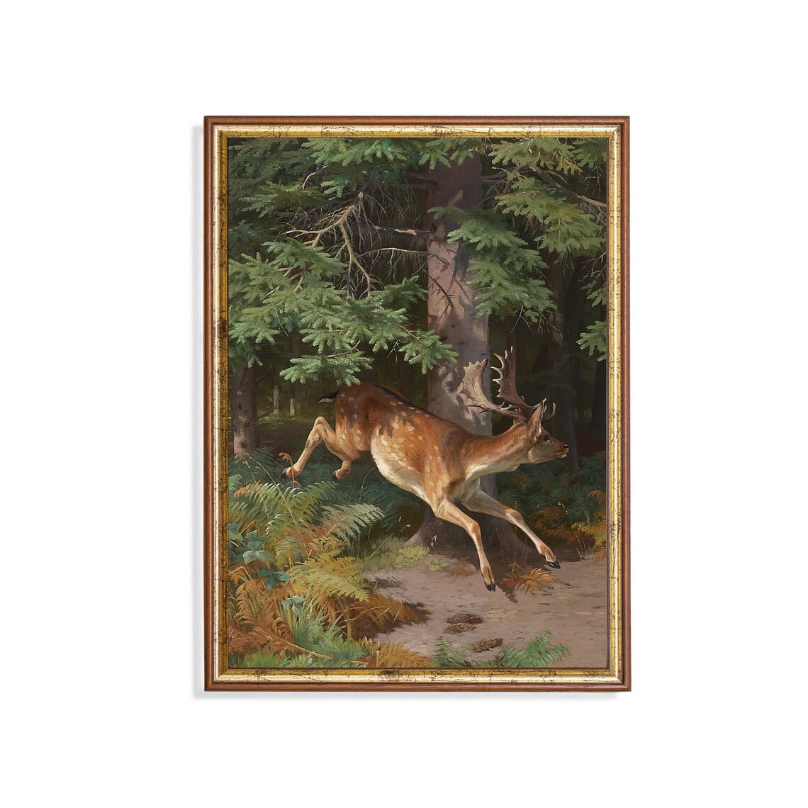 Antique Deer Vintage Wildlife Art Print Poster, Size 16x24 UNFFRAMED ...