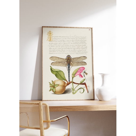 Antique Dragonfly Calligraphy Still Life Botanical Unframed Paper Print
