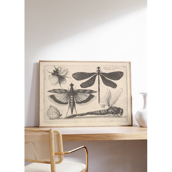 Antique Dragonfly Insects Scientific Poster, Unframed Size 12x18