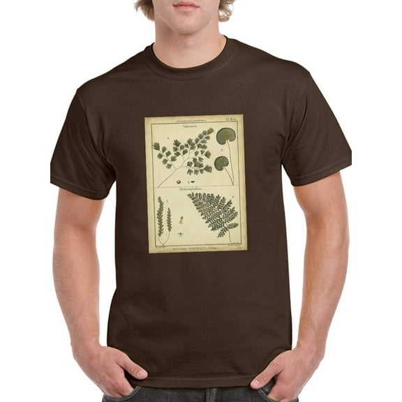 Antique Ferns T-Shirt Men -Denis Diderot Designs, Male x-Large