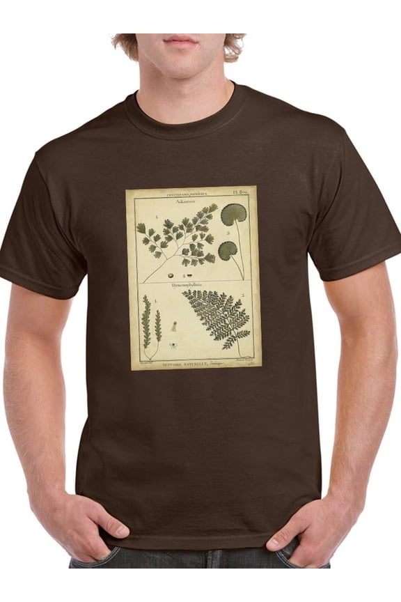 Antique Ferns T-Shirt Men -Denis Diderot Designs, Male x-Large