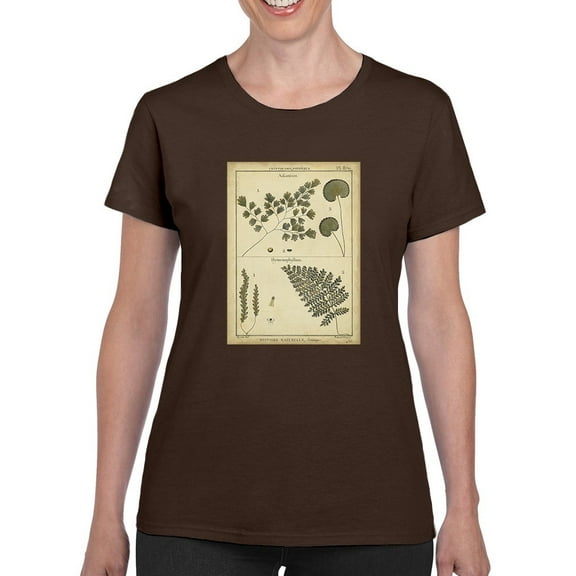 Antique Ferns T-Shirt Women -Denis Diderot Designs, Female 5X-Large