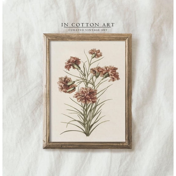 Antique Floral Art Vintage Botanical Illustration Print, Stretched Canvas 16x20in